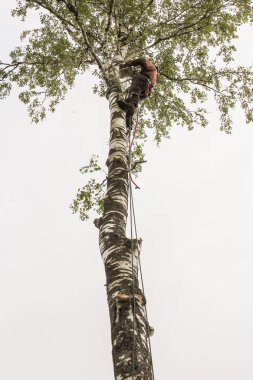 Yüksek irtifada testere ile çalışma.