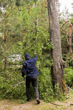İşçi aşağıdaki dalları kabul eder.