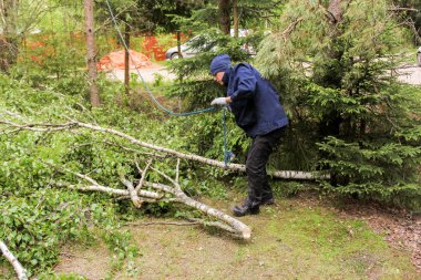 Yardımcı yerde dalları alır.
