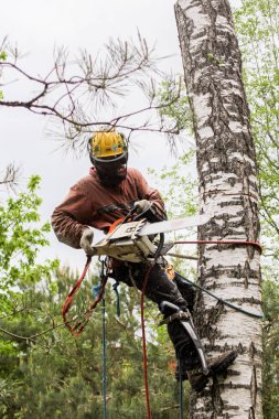 Bagajda büyük bir testere olan arborist.