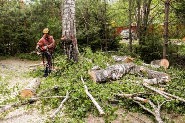 İşçi parçaları ağaçları kaldırmak için.