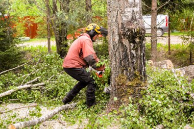 Büyük bir testere ile çalış..