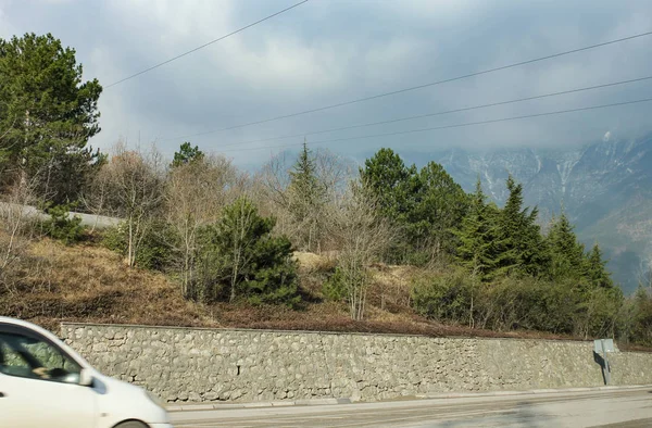 Alberi lungo la strada . — Foto Stock