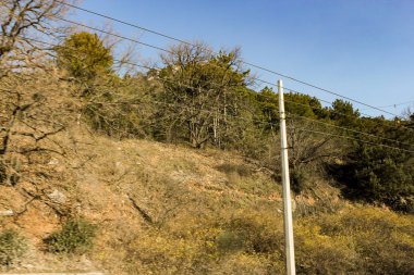 Yol daki bahar bitki örtüsü.