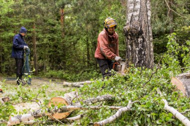 Bagajın son kısmını yere kesme.