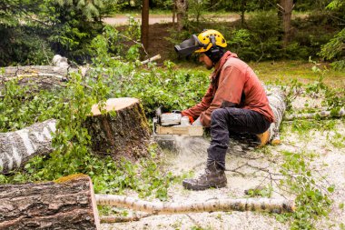 Büyük bir testere ile çalış..