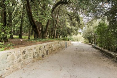 Yürüyüş yolu boyunca taş parapet.