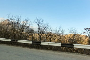 Yol boyunca çıplak dallar.