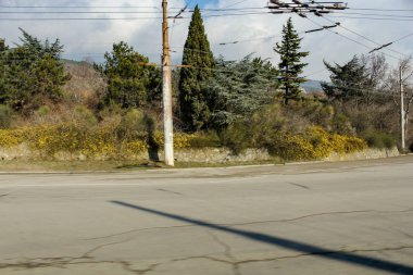 İlk bahar çiçekleri.