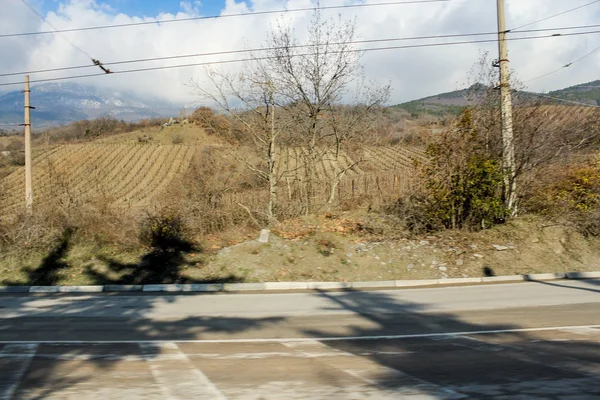 Vinhedos na encosta . — Fotografia de Stock