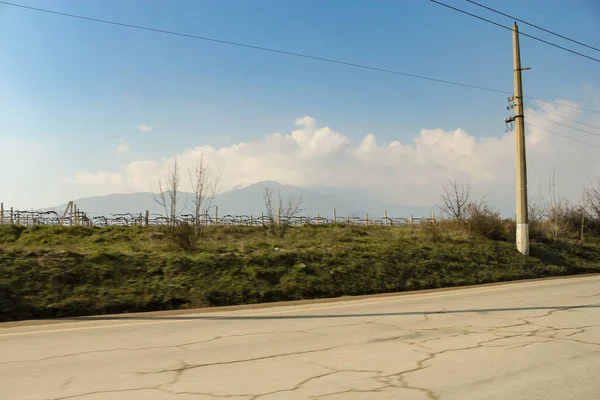 Viñedos en la colina. — Foto de Stock