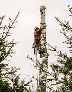 Kesme parçasını itme.
