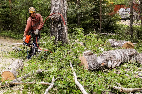 Trabajador para remover árboles en partes . — Foto de Stock