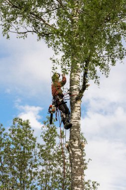 Bir halat üzerinde büyük bir dalı düşürmek.