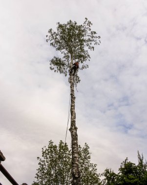 Kapalı bir alanda odun kesme.