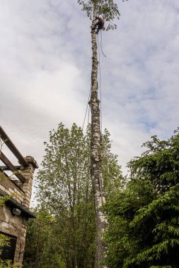 Bir kişiden gelen ipler.