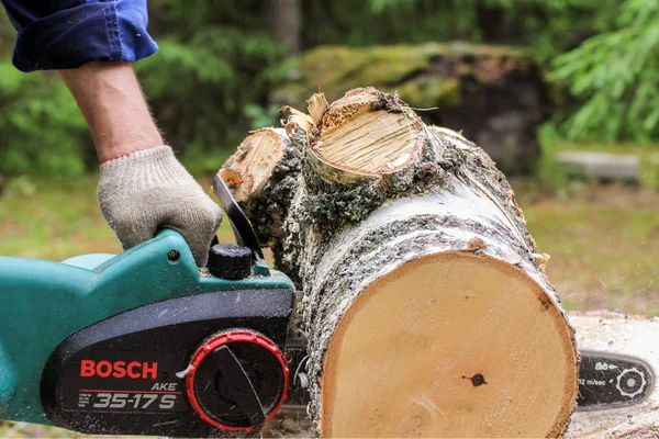 Cortar un tronco de árbol para leña . — Foto de Stock