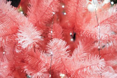 Pembe ladin dalları.