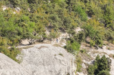 Keçi sürüsü ile çoban.