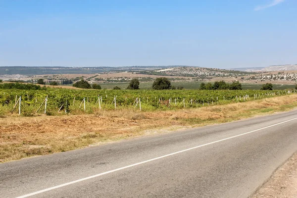 Landscape with vineyards by the road. — Stock Photo, Image