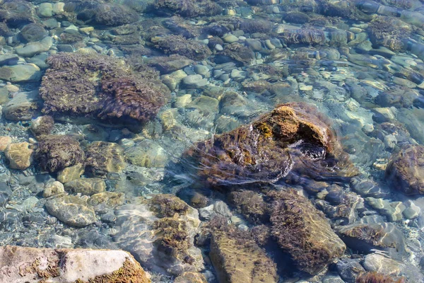 Камені під водою . — стокове фото