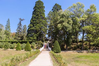 Parktaki beyaz merdivenler..