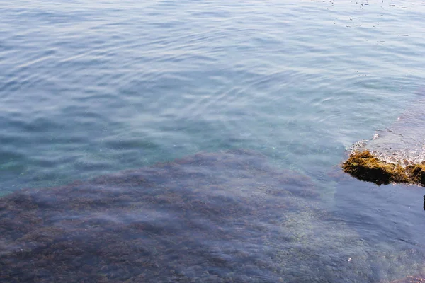 水中の石の藻。. — ストック写真