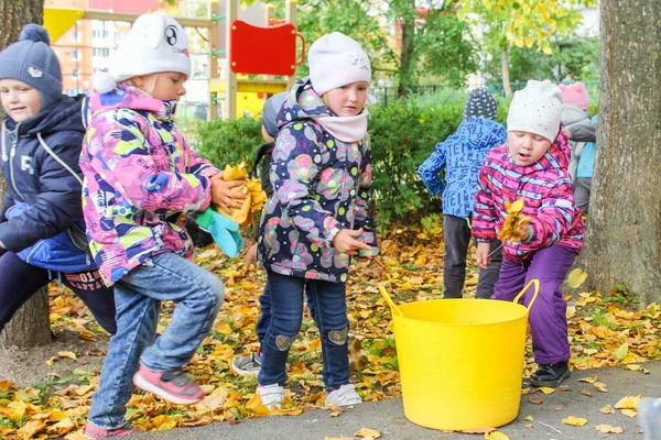 Дети кладут листья в контейнер . — стоковое фото