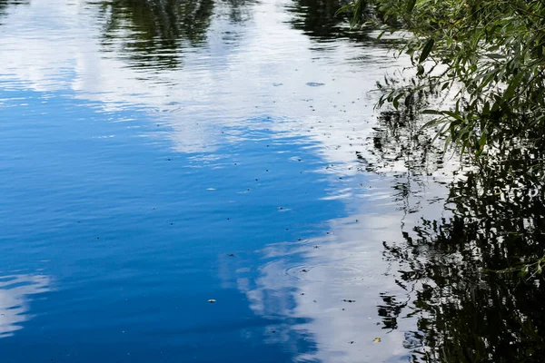 Insecten Het Wateroppervlak Natuur Aan Oevers Van Volchov — Stockfoto