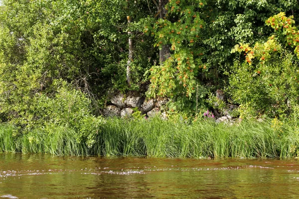 河岸被巨石加固了 伏尔河河岸上的自然 — 图库照片