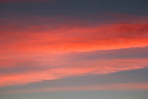 A strip of red clouds at sunset. Picturesque clouds in the sky backlit by the sun.