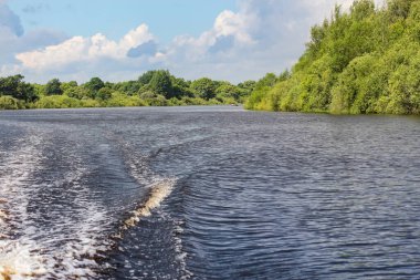 Nehirde tekne gezisi. Volkhov Nehri kıyısında doğa.