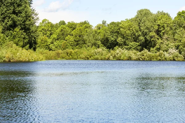 Natura Sulle Rive Del Fiume Volkhov — Foto Stock