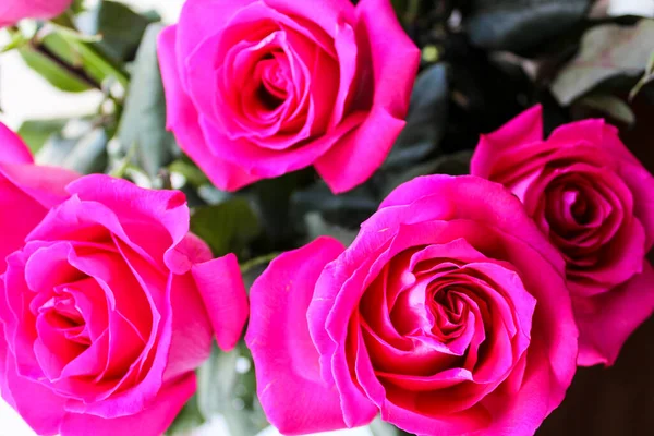 Kırmızı gül buketinde tomurcuklar.