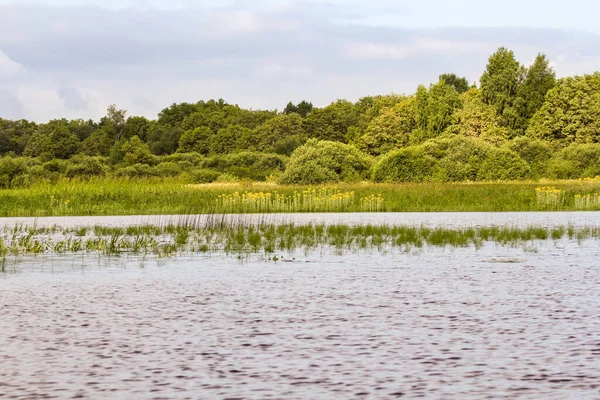 Volkhov Nehri kıyısında doğa.