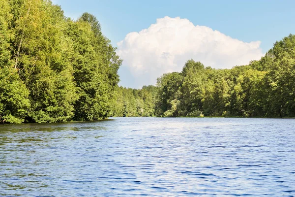 Volkhov Nehri kıyısında doğa.