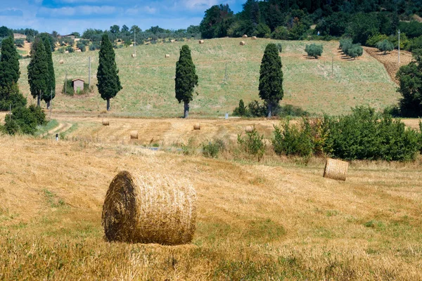 Bales Cropped Wheat Massa Marittima Tuscany Italy — Stock Photo, Image