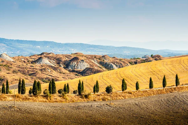 Estrada Ciprestes Uma Colina Perto Asciano Creta Senesi Toscana Itália — Fotografia de Stock