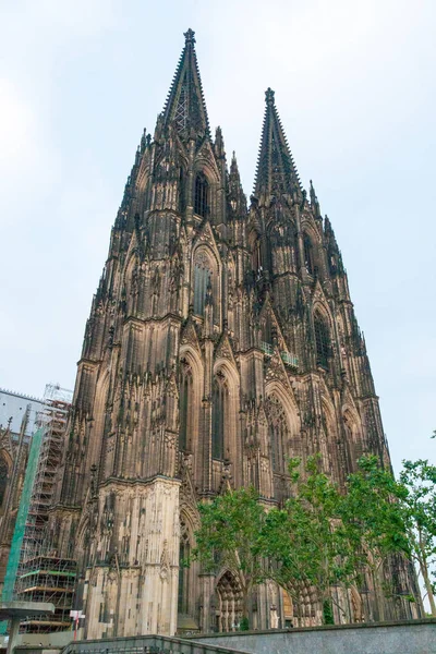 Catedral Colônia Kolner Dom Fachada Alemanha Verão — Fotografia de Stock