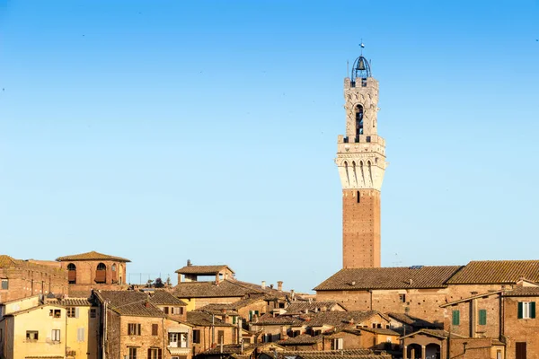 Utsikt Över Den Gamla Staden Siena Med Duomo Italien — Stockfoto