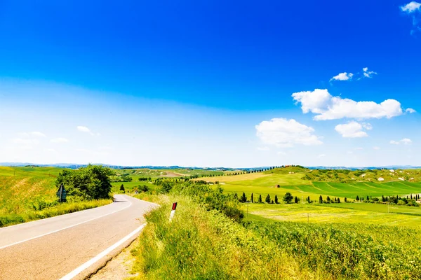 Fields Sunny Tuscan Countryside Italy — Stock Photo, Image