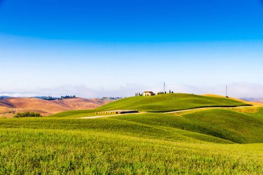Tepeler ve alanları yaz Girit Senesi (Senese kil), Tuscany, İtalya
