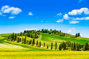 Fields in sunny tuscan countryside, Italy clipart
