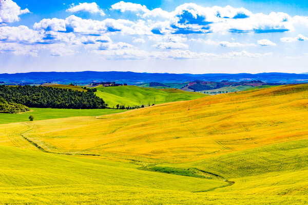 Fields in sunny tuscan countryside, Italy