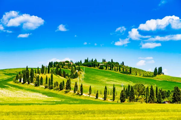 Felder Sonniger Toskanischer Landschaft Italien — Stockfoto