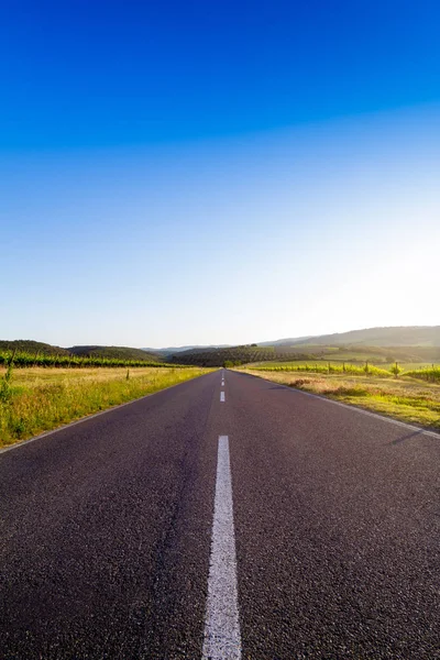 Bir ülkede yol Bahar yakın Montalcino Toskana, İtalya