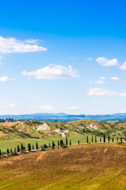 Yol ve Asciano Crete Senesi, Toskana, İtalya yakınlarındaki bir tepe üzerinde selvi
