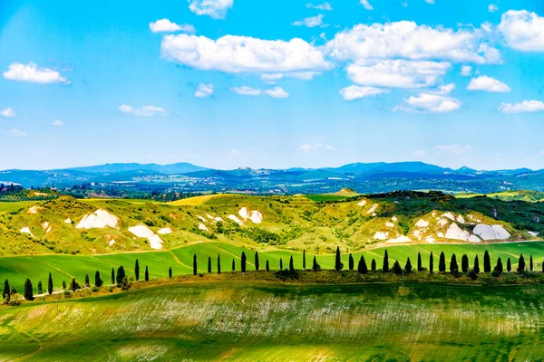 Campos Soleado Campo Toscano Italia — Foto de Stock