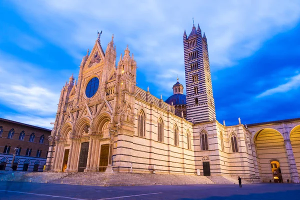 Katedra Sienie Włoski Duomo Siena 1348 Jest Średniowieczny Kościół Siena — Zdjęcie stockowe