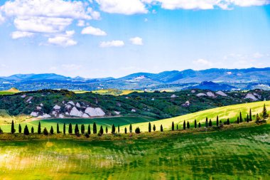 Fields in sunny tuscan countryside near Siena, Italy clipart